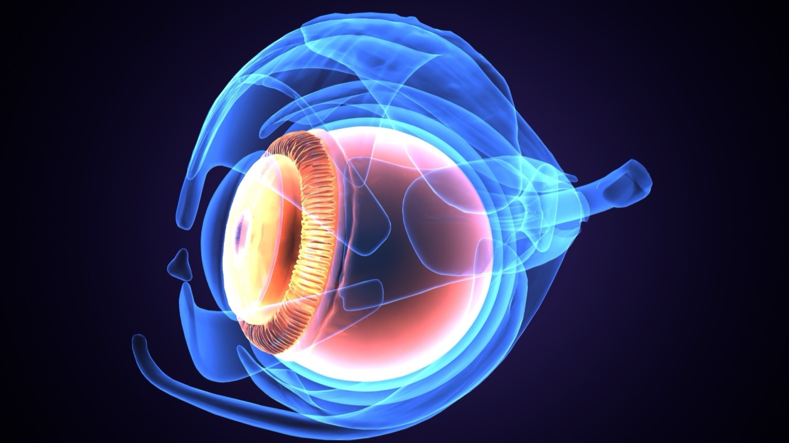 End Blindness 2020